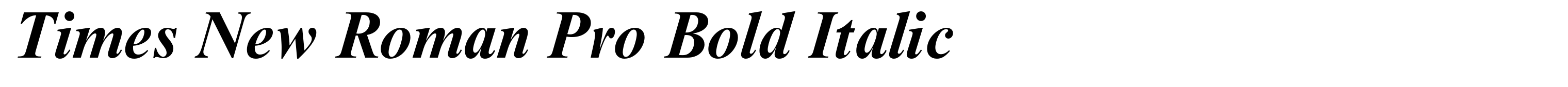 Times New Roman Pro Bold Italic